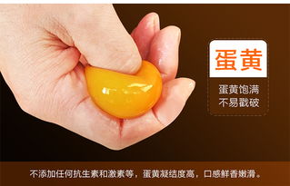 品味天然生态，福德锦放养土鸡蛋——健康与礼遇的双重臻选