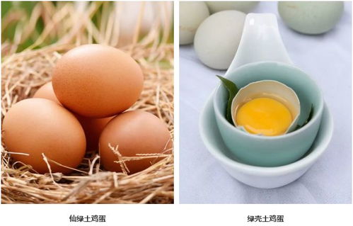 年味里的仙居 1月28日，台创园邀你赴一场乡土之约