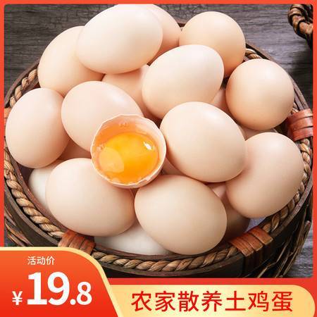 汪集土鸡蛋——20枚装新鲜好蛋，吃出小时候的味道