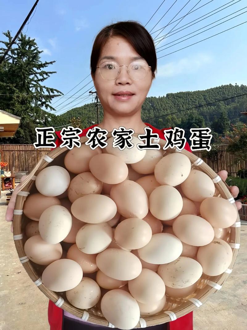 家人们，农家散养土鸡蛋来了！现捡现发，吃出小时候的味道